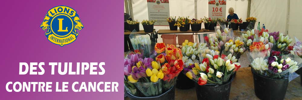 Top départ pour la 12ème édition des tulipes contre le cancer